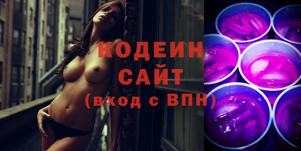 эйфоретик Гусь-Хрустальный