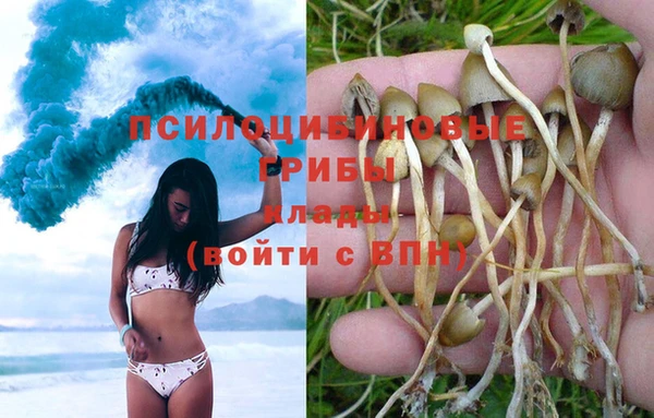 COCAINE Горняк