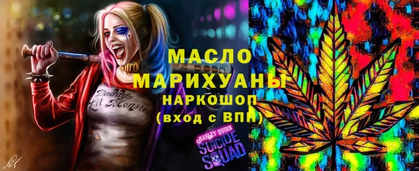 мдма Ельня