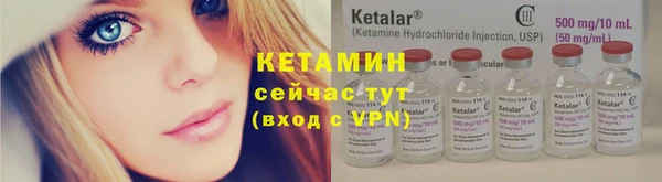 твердый Дмитровск