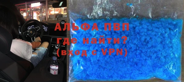 гашик Дмитров