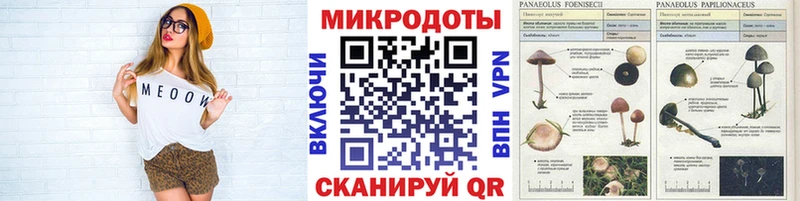 купить наркотик  Данков  Галлюциногенные грибы Cubensis 